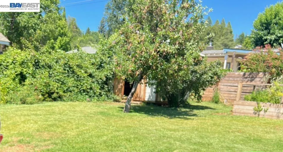 536 Williams St Murphys, CA 95247