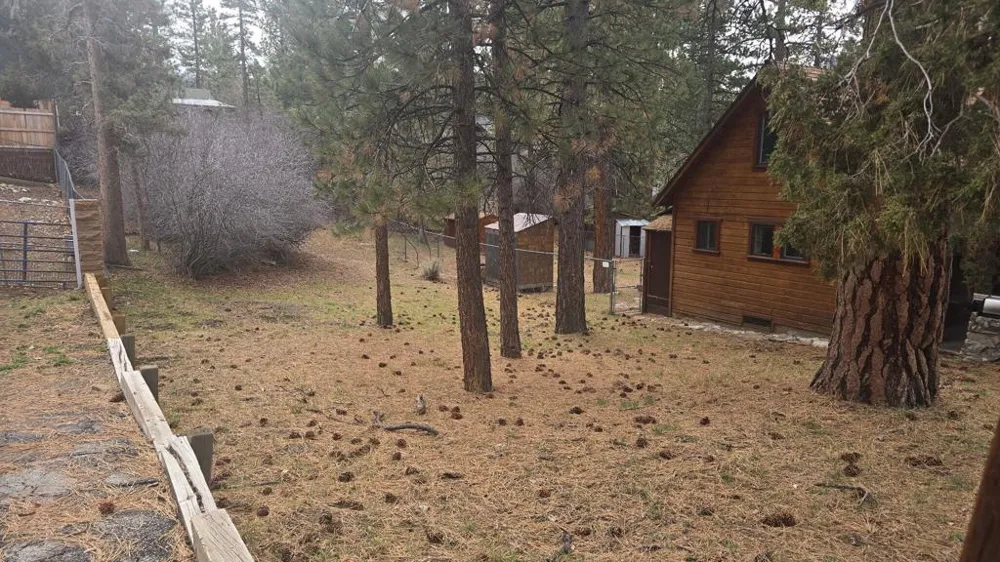 Conifer Big Bear, CA 92315