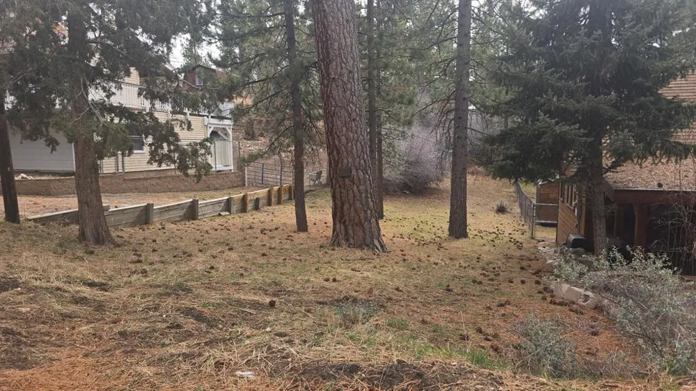Conifer Big Bear, CA 92315