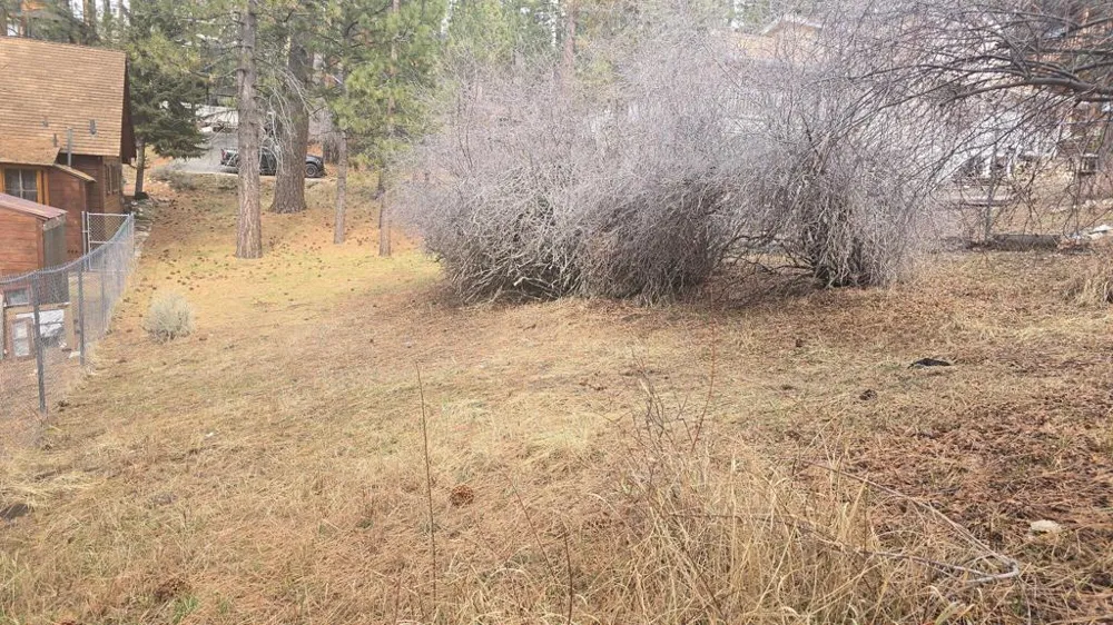 Conifer Big Bear, CA 92315
