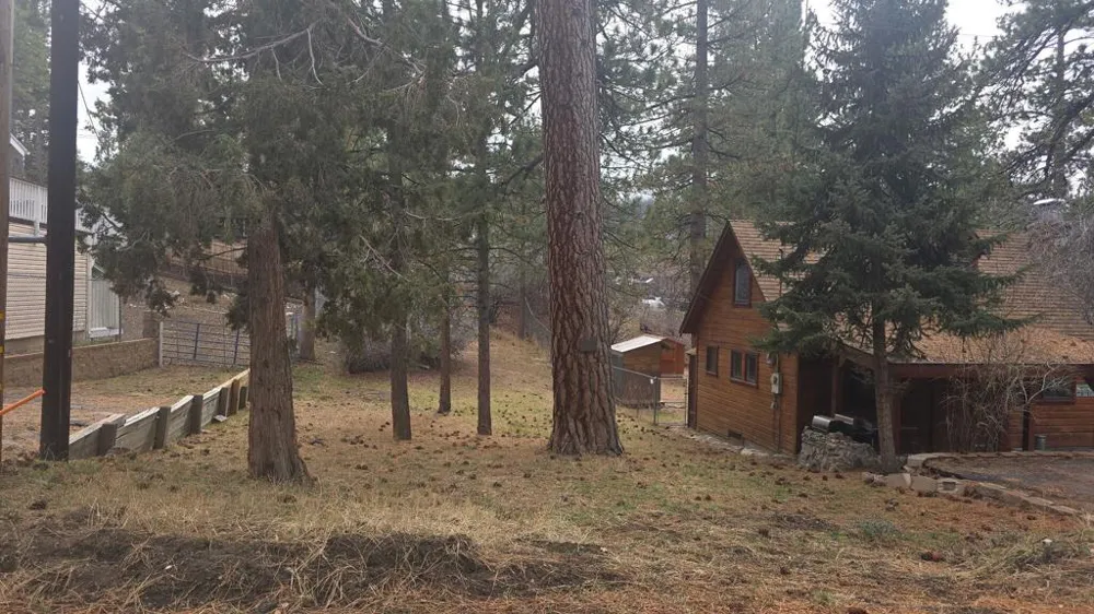 Conifer Big Bear, CA 92315