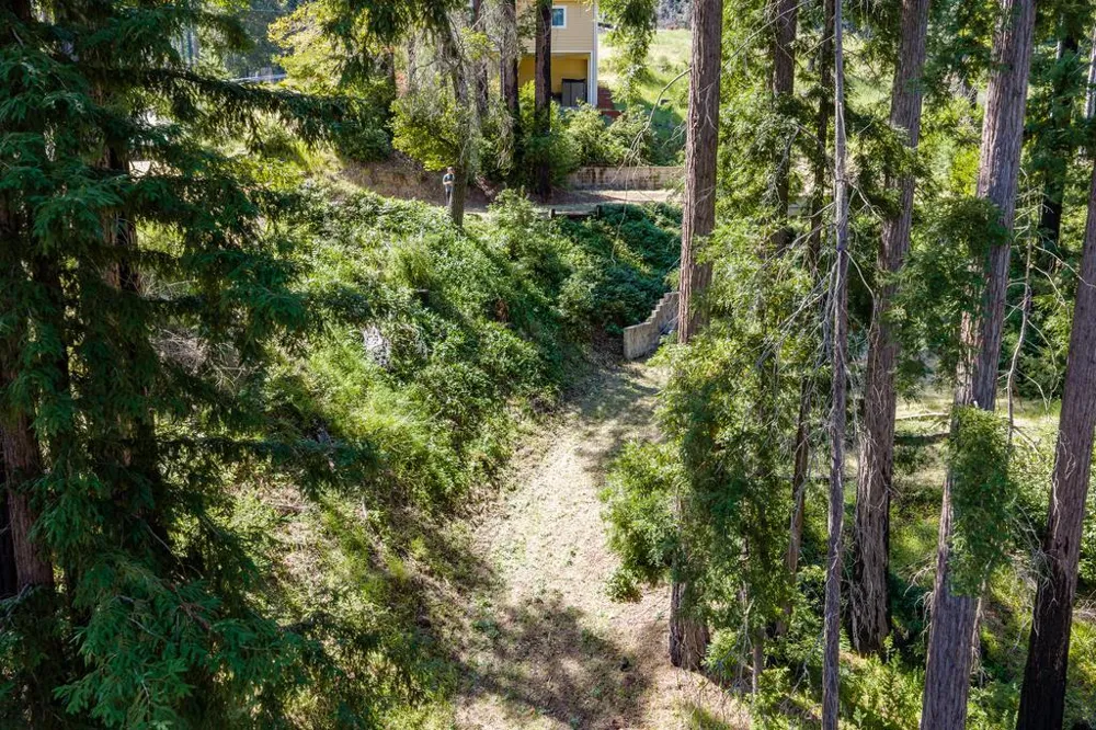785 Summit Drive Boulder Creek, CA 95006
