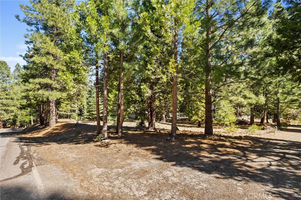 701 Lake Ridge Road Lake Almanor, CA 96137