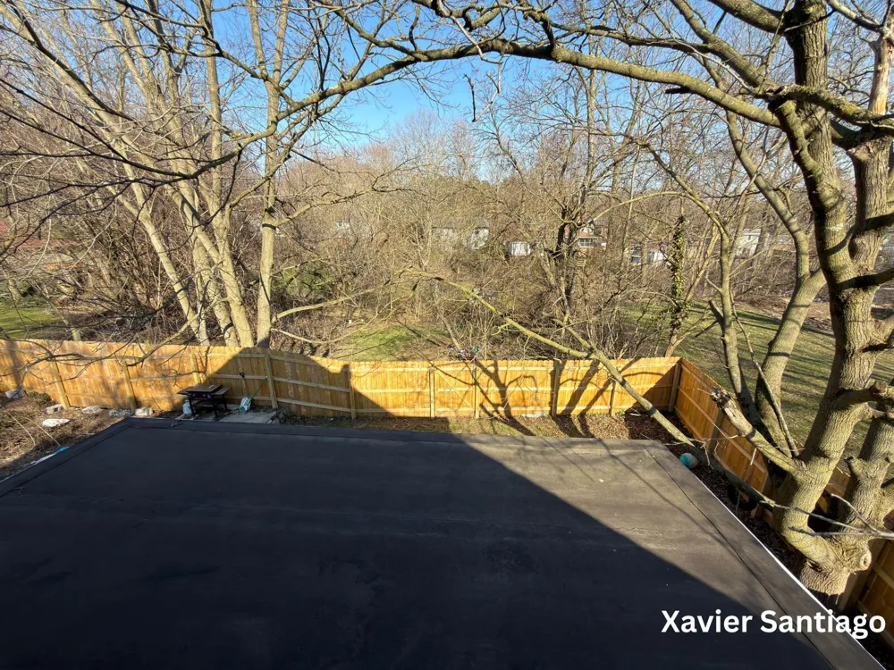 1128 Emerald Avenue NE Grand Rapids, MI 49503