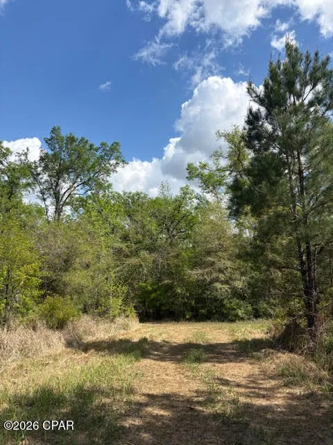 Iron Bridge Road Marianna, FL 32448
