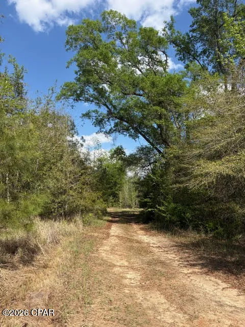 Iron Bridge Road Marianna, FL 32448