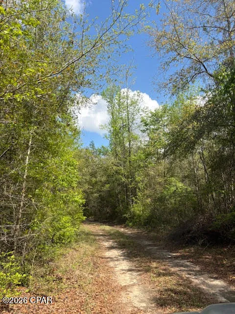 Iron Bridge Road Marianna, FL 32448