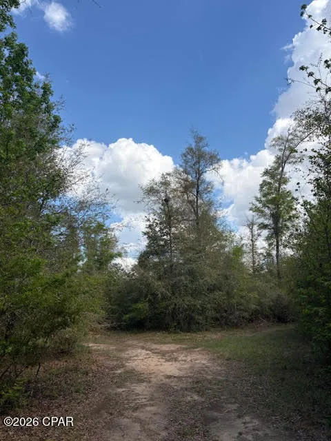 Iron Bridge Road Marianna, FL 32448