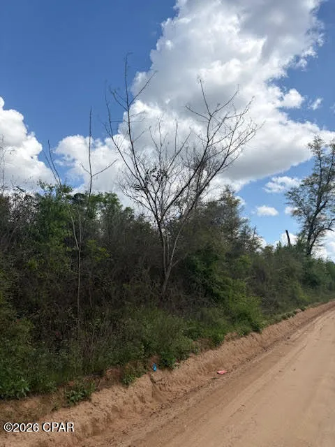 Iron Bridge Road Marianna, FL 32448