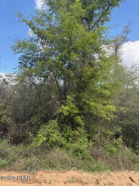 Iron Bridge Road Marianna, FL 32448
