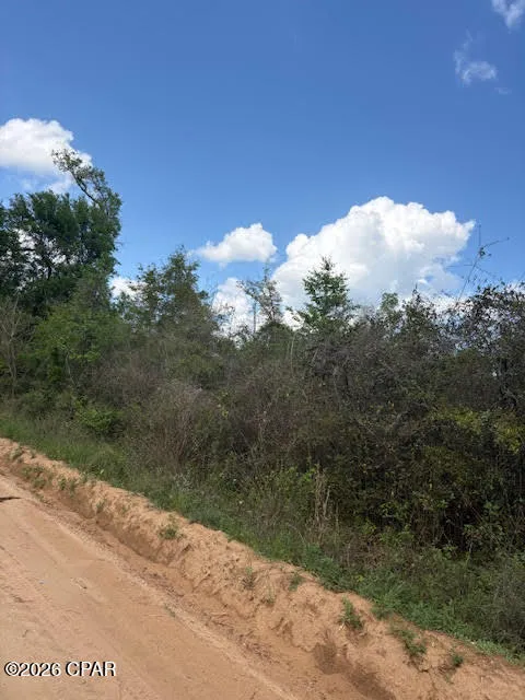 Iron Bridge Road Marianna, FL 32448