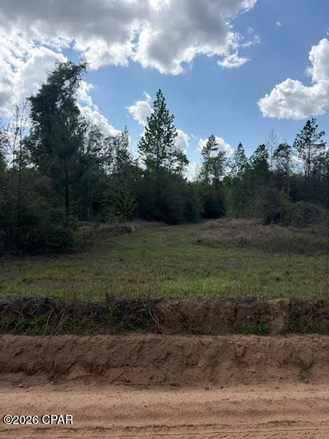 Iron Bridge Road Marianna, FL 32448
