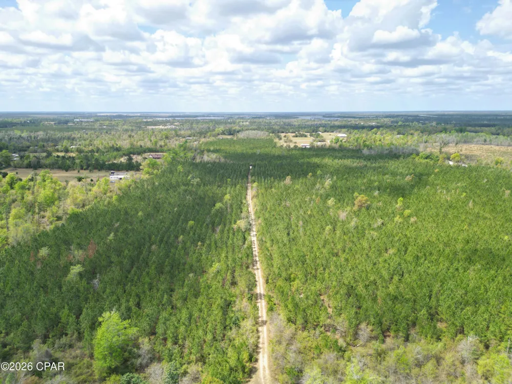 30 NW Melvin Road Clarksville, FL 32430