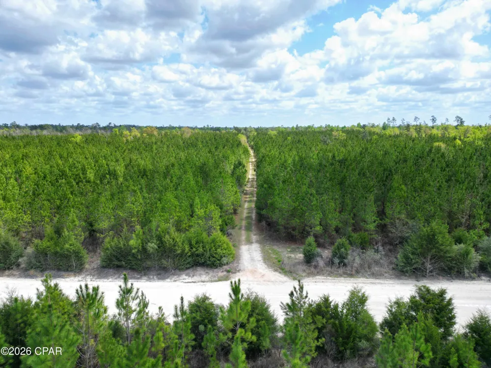 30 NW Melvin Road Clarksville, FL 32430