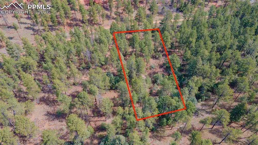 8257 Bannock Drive Larkspur, CO 80118