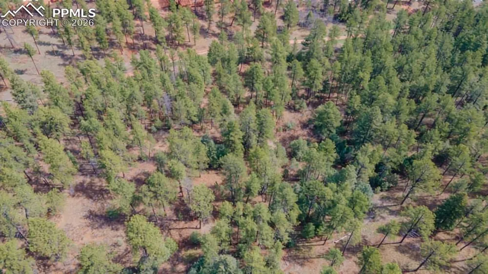 8257 Bannock Drive Larkspur, CO 80118