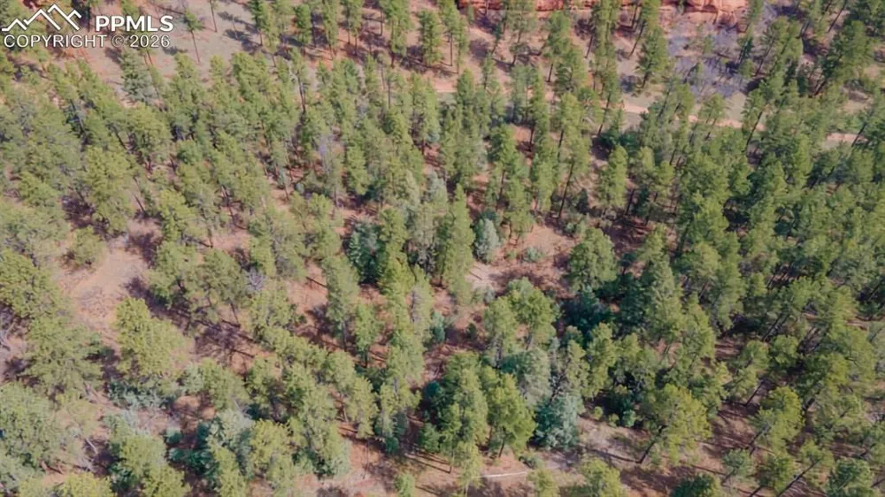 8257 Bannock Drive Larkspur, CO 80118