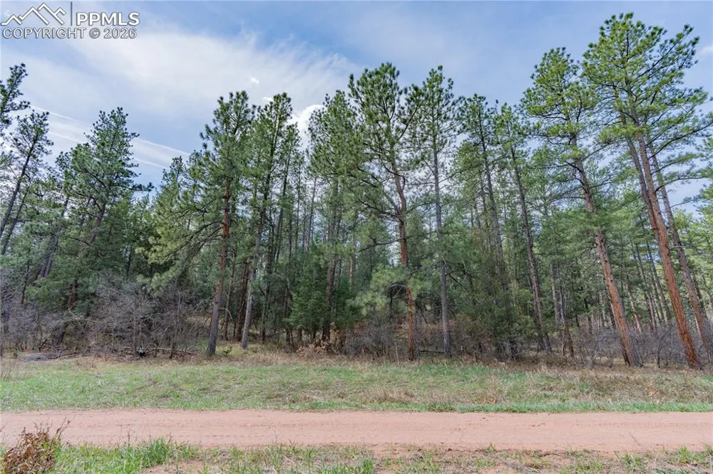 8257 Bannock Drive Larkspur, CO 80118