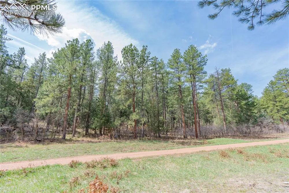 8257 Bannock Drive Larkspur, CO 80118