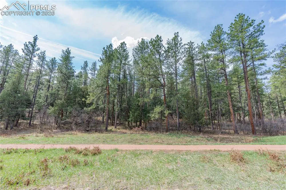 8257 Bannock Drive Larkspur, CO 80118