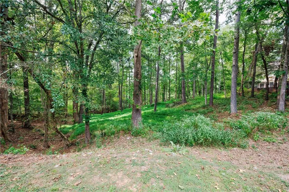 13550 Blakmaral Lane Milton, GA 30004