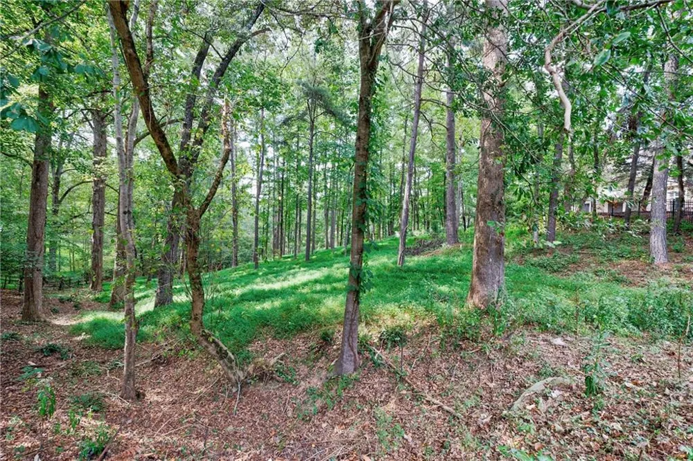 13550 Blakmaral Lane Milton, GA 30004