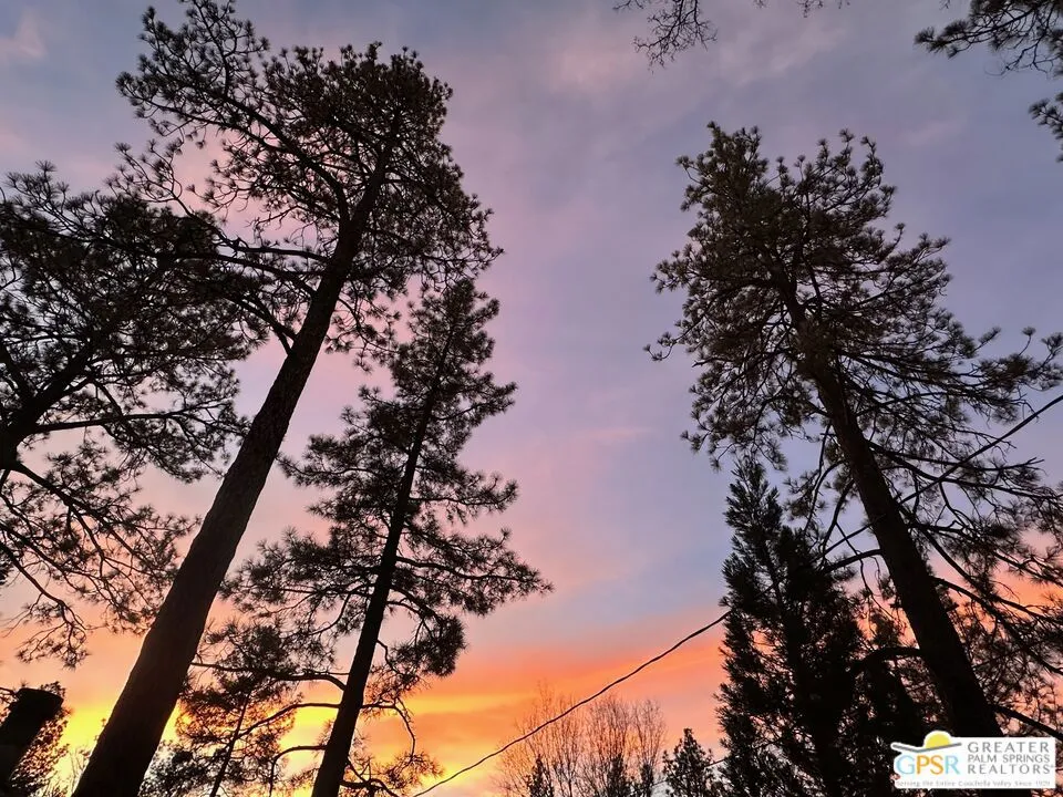59302 Donna Mae Place Mountain Center, CA 92561