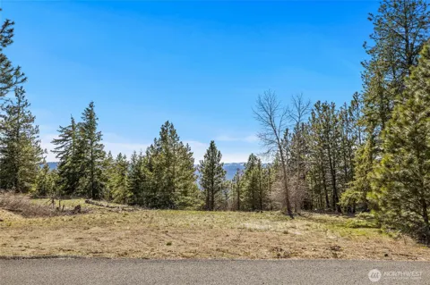 80 Forest Ridge (Lot 80) Drive