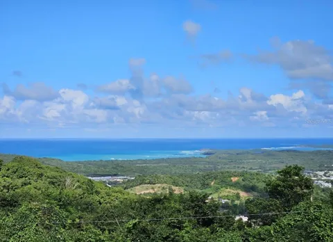985 KM 1.6 INTERIOR QUEBRADA FAJARDO