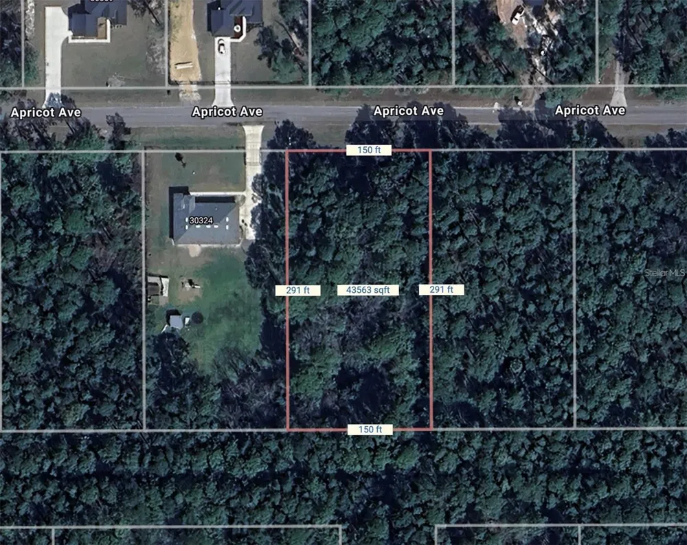 APRICOT AVENUE Eustis, FL 32736
