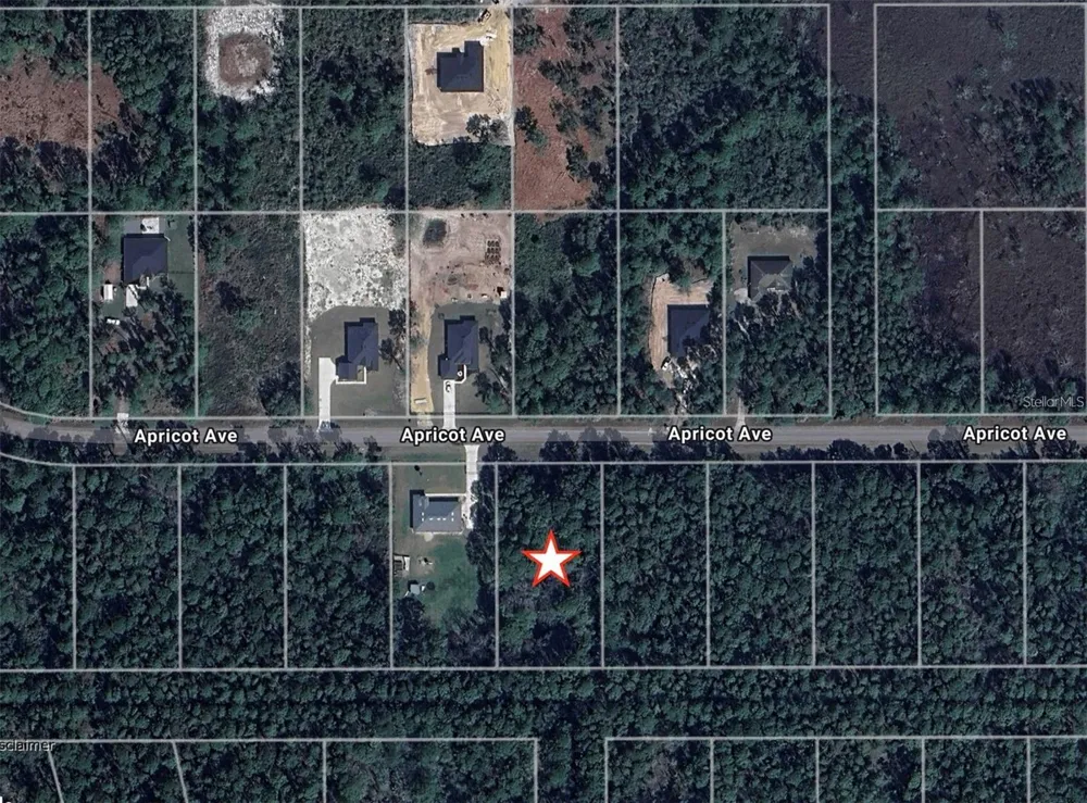 APRICOT AVENUE Eustis, FL 32736