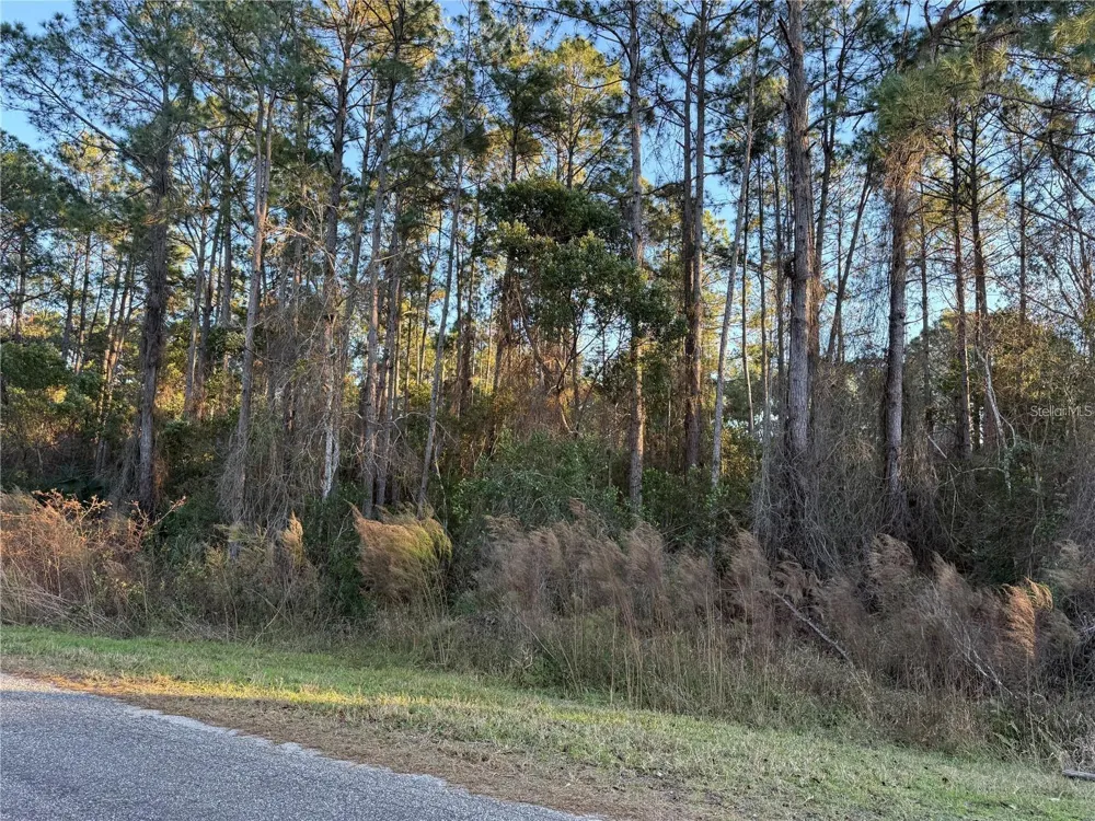 APRICOT AVENUE Eustis, FL 32736