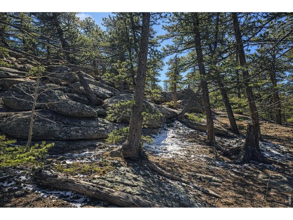 0 Sinisippi Road Red Feather Lakes, CO 80545