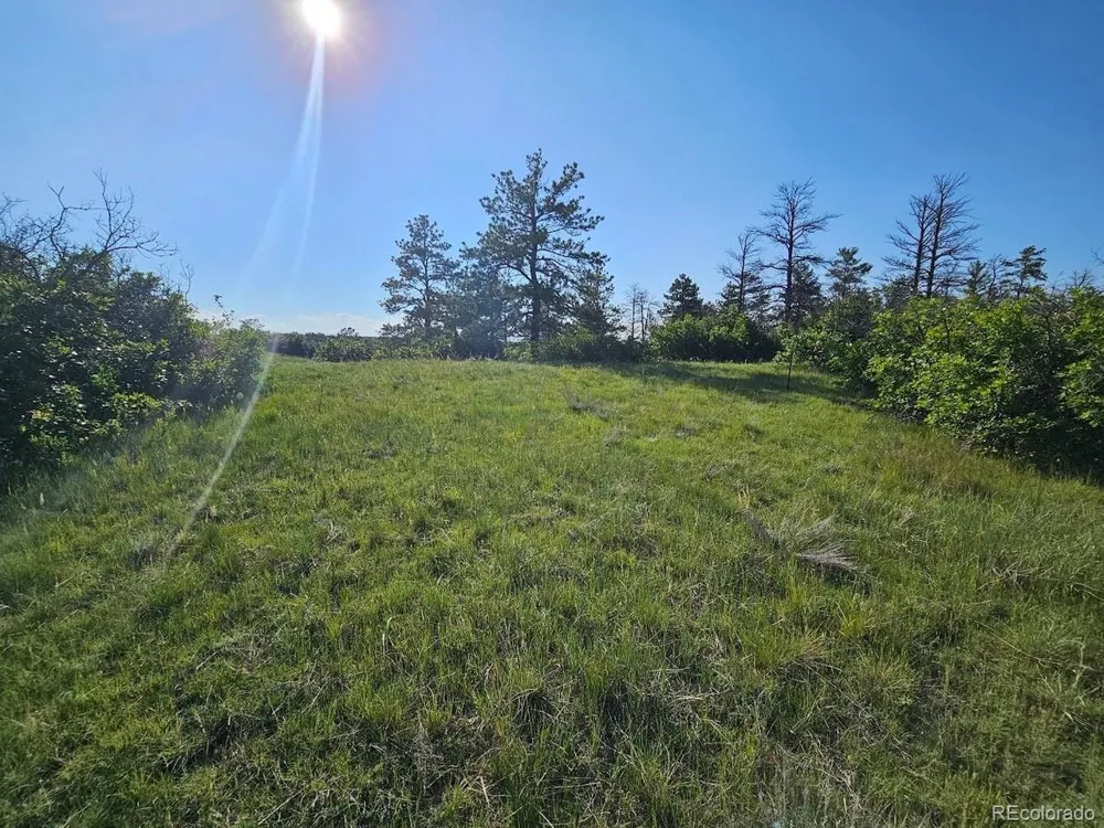 2937 Keep Drive Sedalia, CO 80135