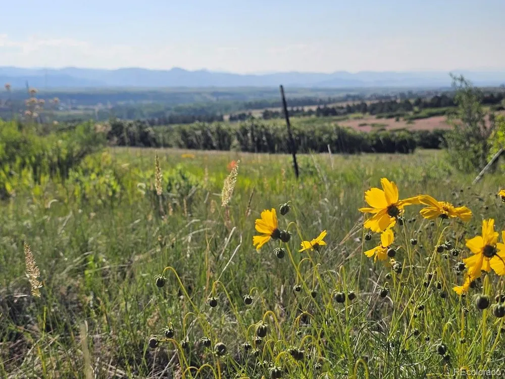2937 Keep Drive Sedalia, CO 80135