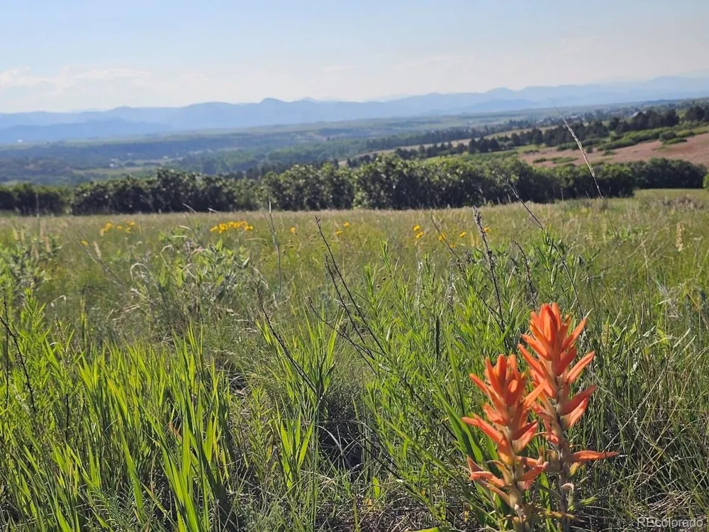 2937 Keep Drive Sedalia, CO 80135