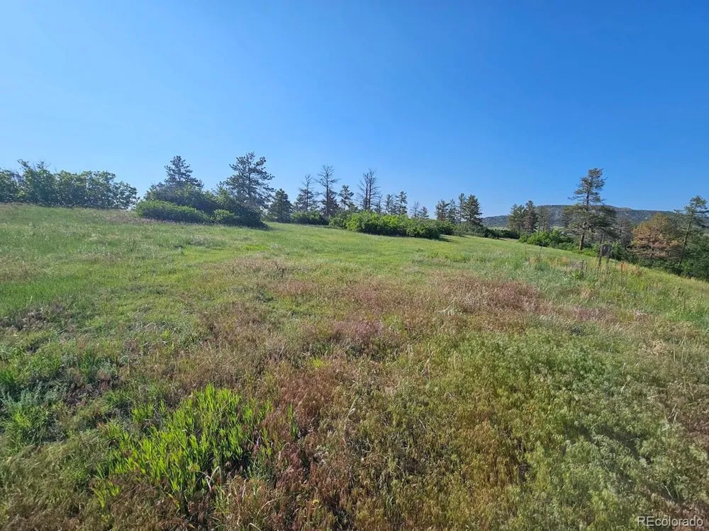 2937 Keep Drive Sedalia, CO 80135