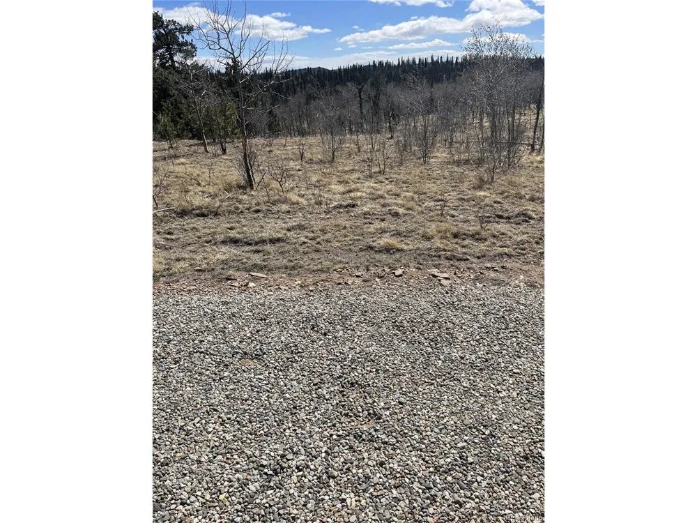 12 Loon Lane Como, CO 80432