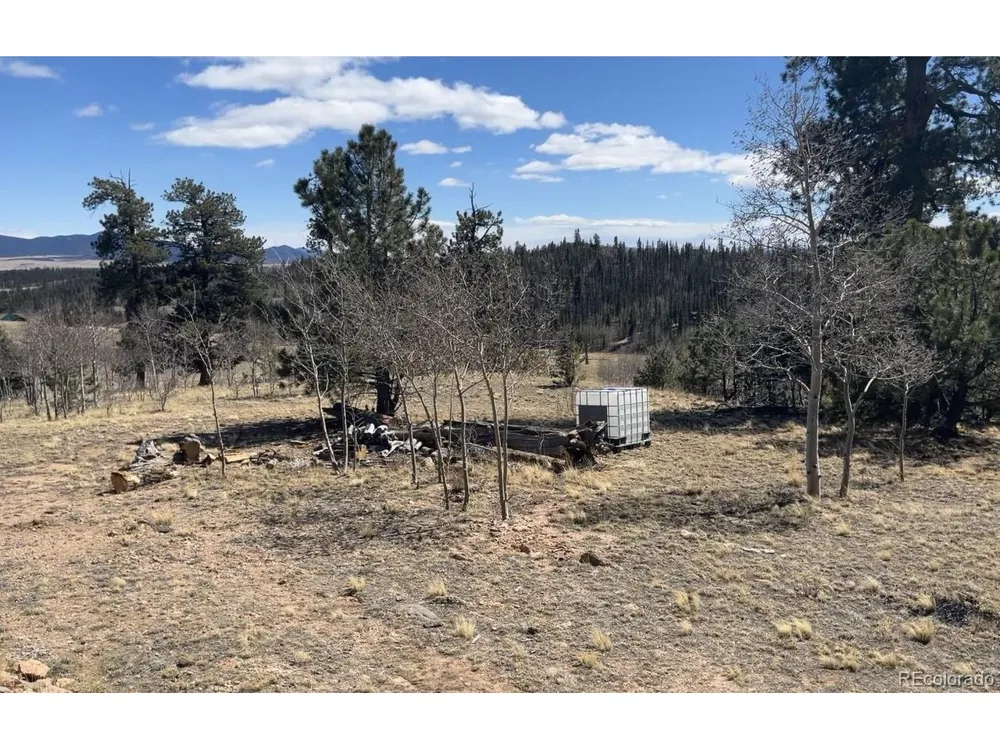 12 Loon Lane Como, CO 80432