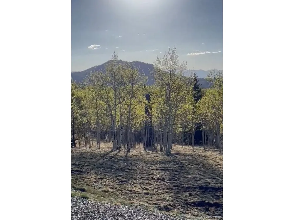 12 Loon Lane Como, CO 80432