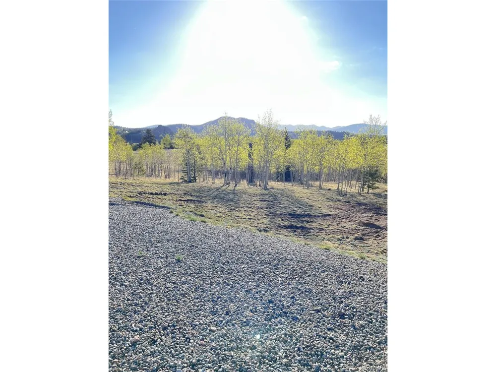 12 Loon Lane Como, CO 80432