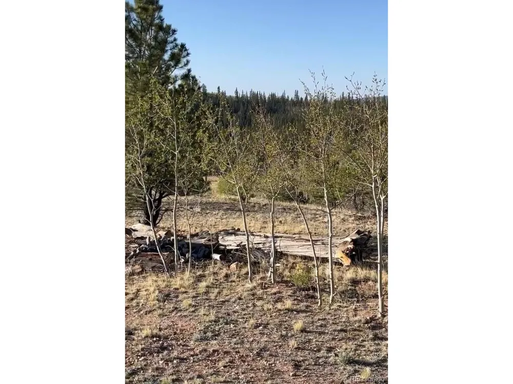 12 Loon Lane Como, CO 80432