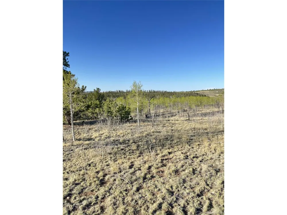 12 Loon Lane Como, CO 80432