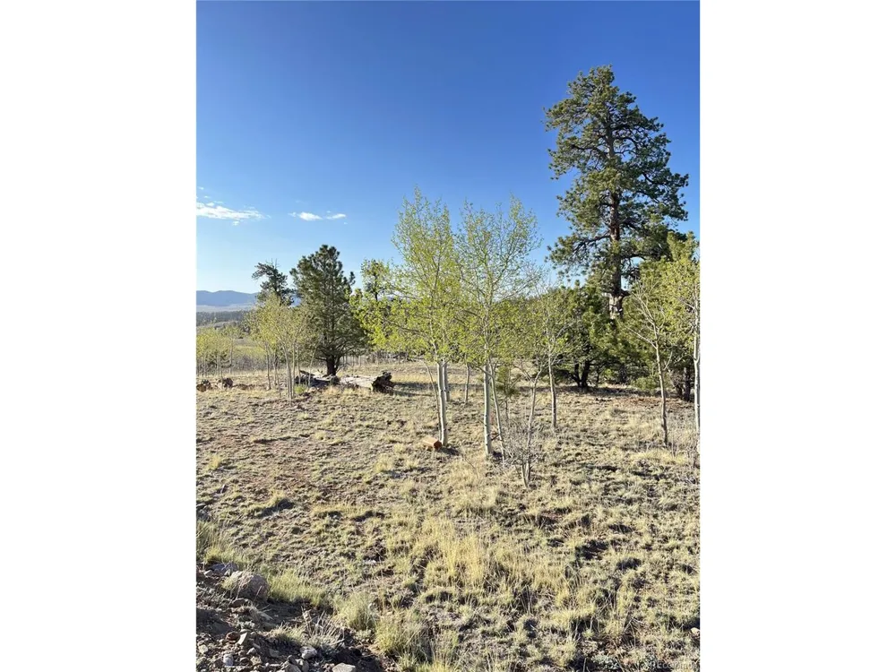 12 Loon Lane Como, CO 80432
