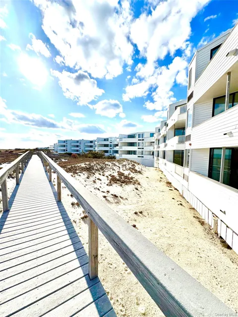 253 Dune #49