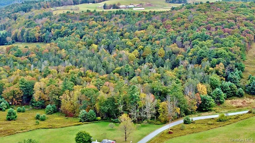000 Kautz Road Callicoon, NY 12723