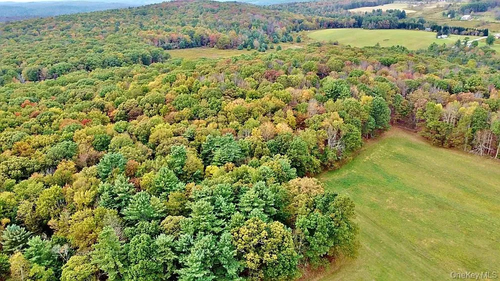 000 Kautz Road Callicoon, NY 12723