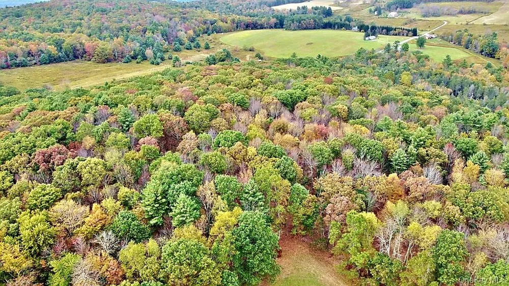 000 Kautz Road Callicoon, NY 12723