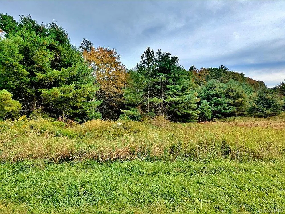 000 Kautz Road Callicoon, NY 12723
