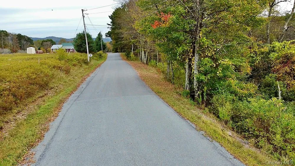 000 Kautz Road Callicoon, NY 12723